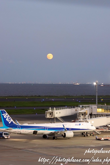羽田空港(満月)