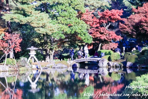 金沢兼六園（紅葉）