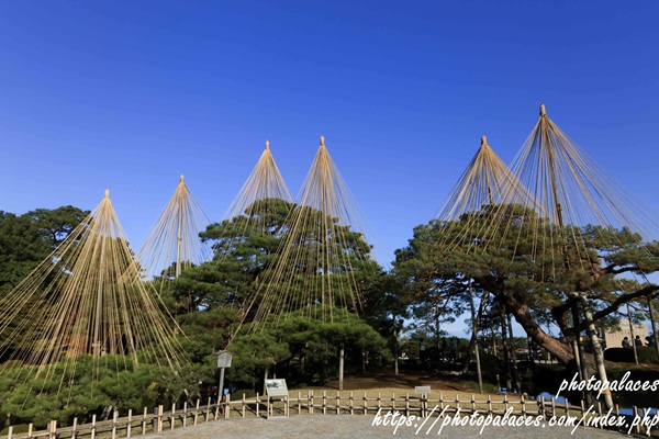 金沢兼六園（紅葉）
