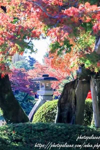 金沢兼六園（紅葉）