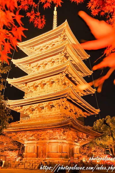京都東寺（紅葉）