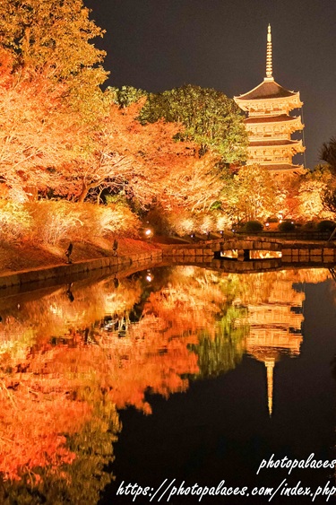 京都東寺（紅葉）